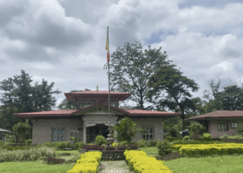 Gewogs within GMC to retain elected local leaders, says ECB